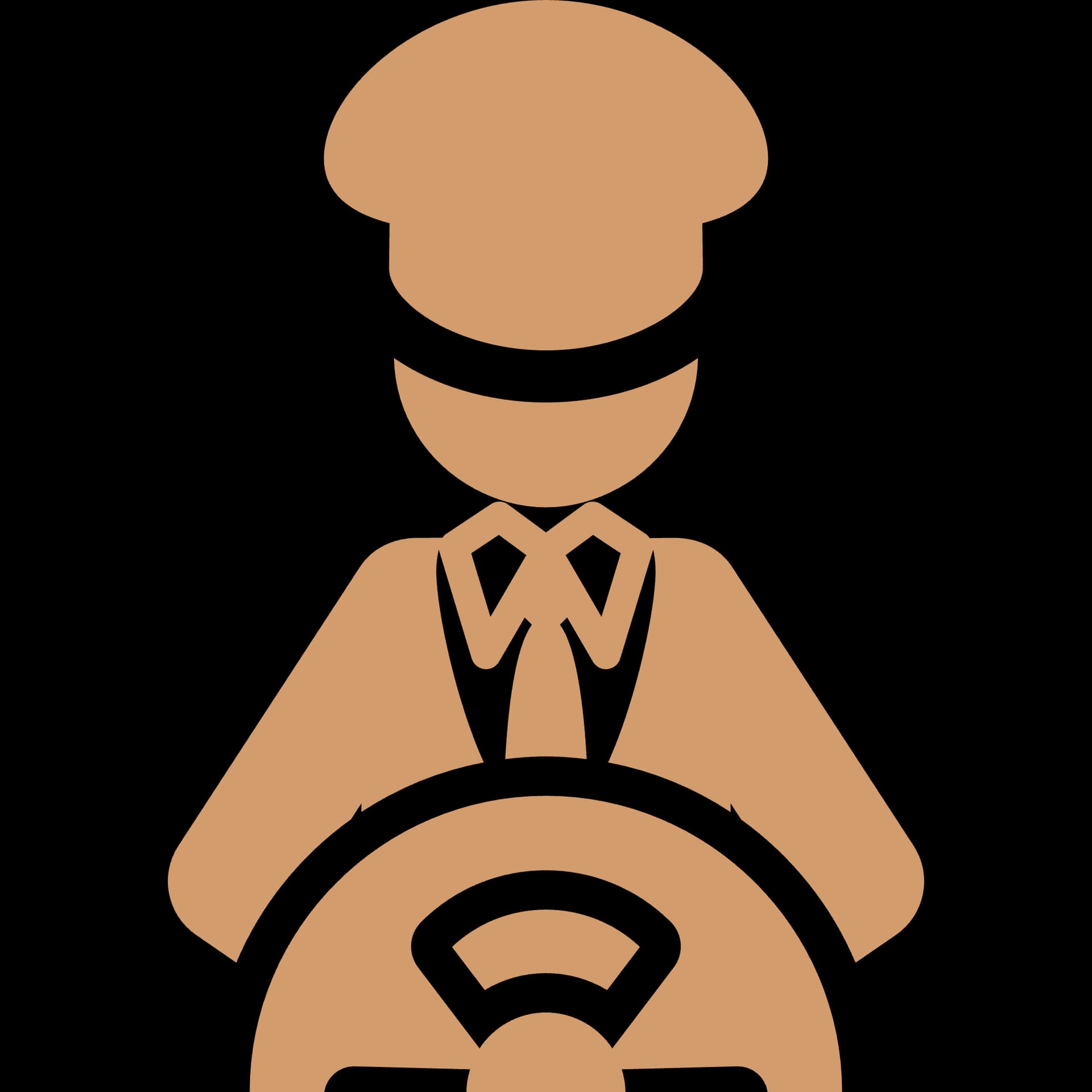 Professional chauffeur